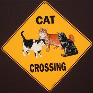 Cats Signs Plaques Cat Metal Crossing Sign 16 1 2 X 16 1 2