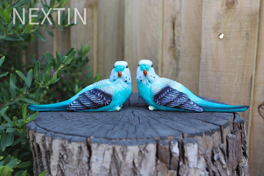 Budgie best sale sipper bottle