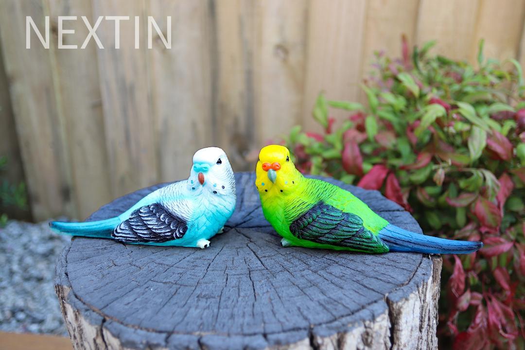 Budgie best sale sipper bottle