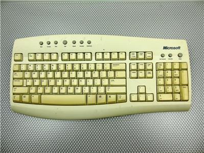51nV9IVUHXL._UF350,350_QL50_.jpg
