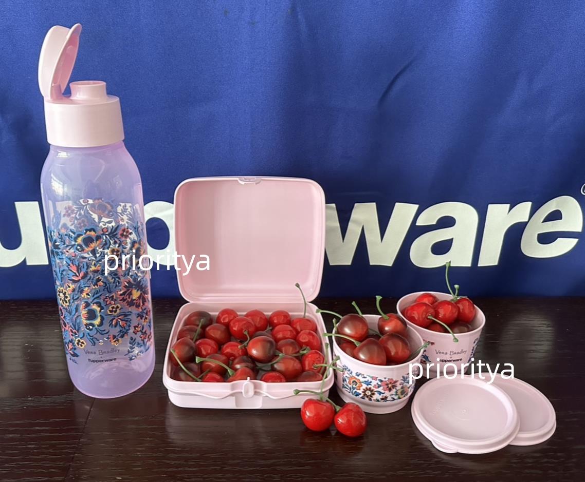 Tupperware Vera Bradley Lunch Set ECO Water Bottle Sandwich Snack