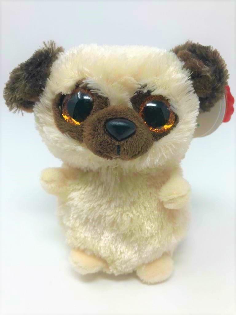 mini motsu pug