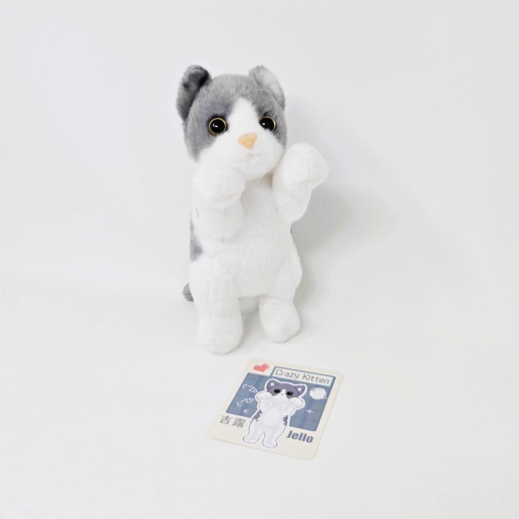 Crazy Kitten Standing Cat Plushie - YOU CHOOSE!!