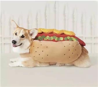 large dog hot dog costume