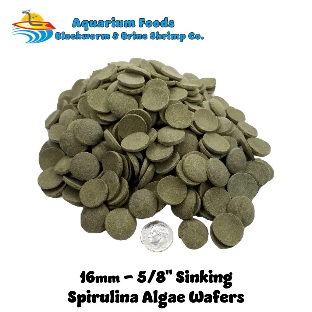 16mm-5/8" MED/LG Spirulina Algae Sinking Wafers, Tropical Fish Food