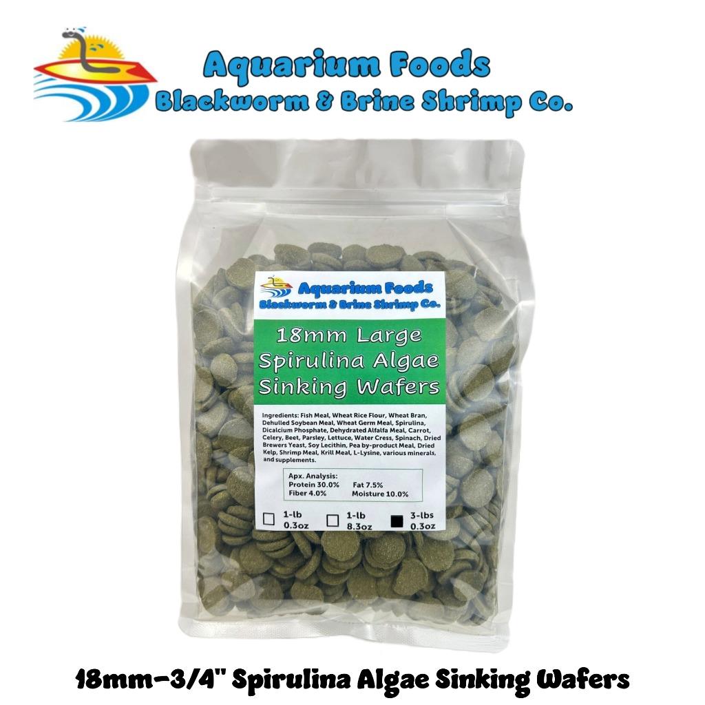 18mm-3/4" Large Spirulina, Algae & Veggie Sinking Wafers, All Tropical Fish - Picture 15 of 15