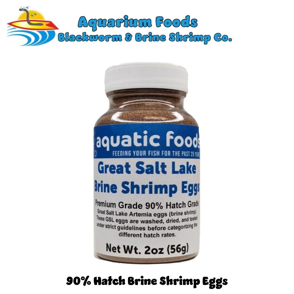Brine Shrimp Eggs Jar. Premium Grade 90% Hatch Great Salt Lake Artemia Eggs