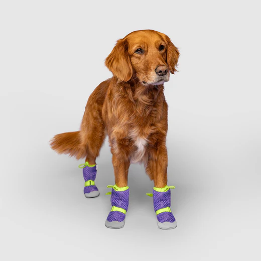 NWT Canada Pooch Hot Pavement Boots Purple Green