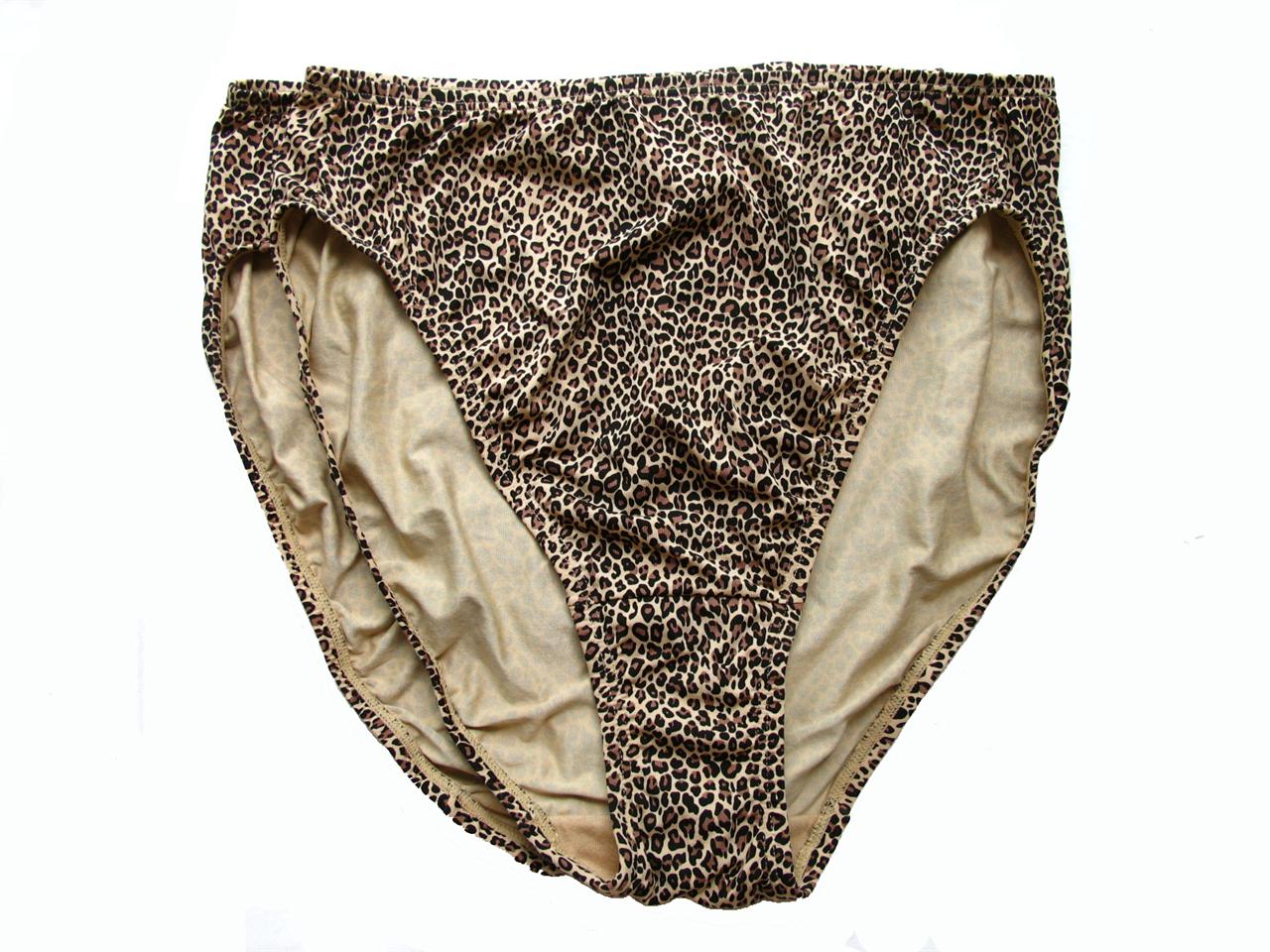 LOT 2 OLGA BROWN LEOPARD WITHOUT A STITCH MICROFIBER HI-CUT BRIEF ...