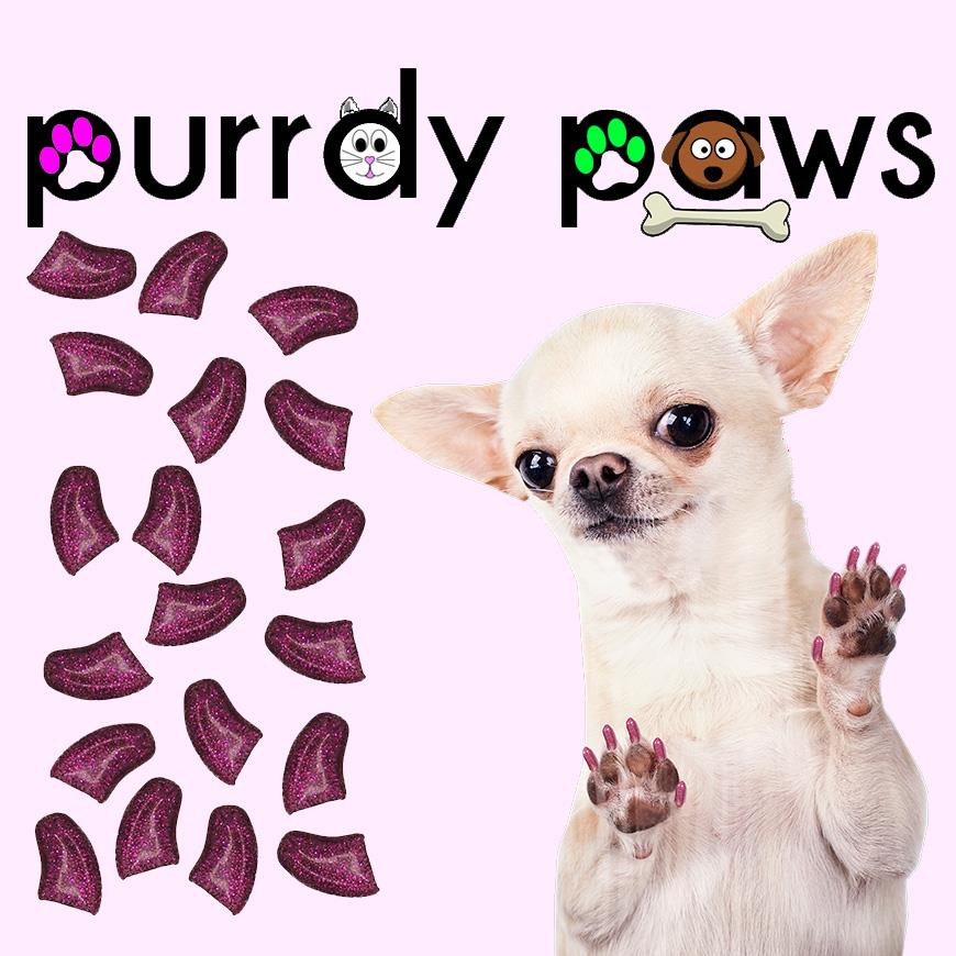 Dog nail tip covers online