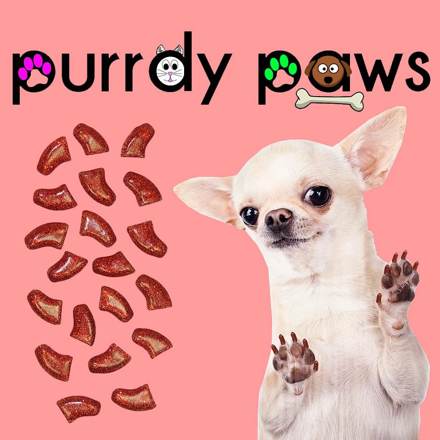 Purrdy paws for dogs new arrivals