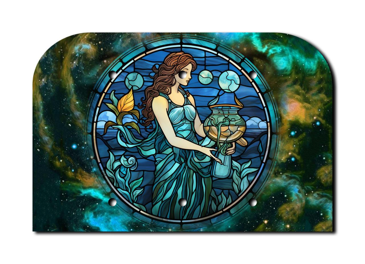 Off The Wall Plates - AQUARIUS ZODIAC Switch - Cover - Paddle Wallplate-image
