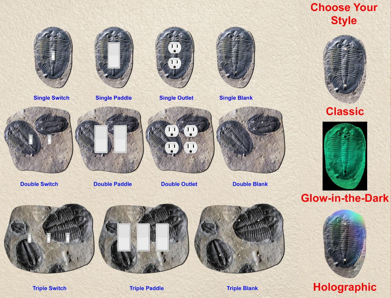 Off The Wall Plates ~ Fossils ~ Outlet - Switch - Cover - Paddle - 1 2 3 Gang - Picture 8 of 8