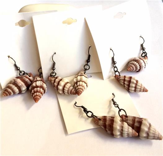 Cerith Conch Shell Earrings Pierced Brown White Sea Life Island Beach ...