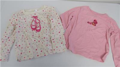 NWT Gymboree Girls Picture Day Pink Ruffle Top Tee Size 12-18-24 M 2T 3T 4T 5T