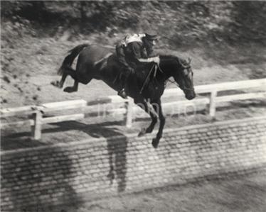 1936 OLYMPIC EQUESTRIAN Horse POLAND - LENI RIEFENSTAHL | eBay