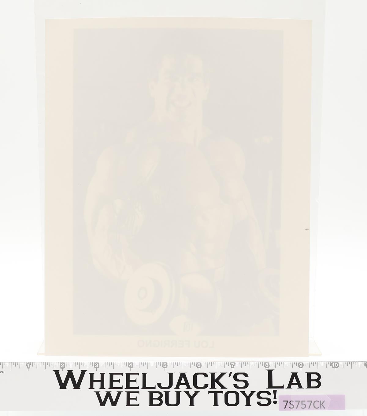 The Incredible Hulk Lou Ferrigno AUTOGRAPHED 8x10 Picture