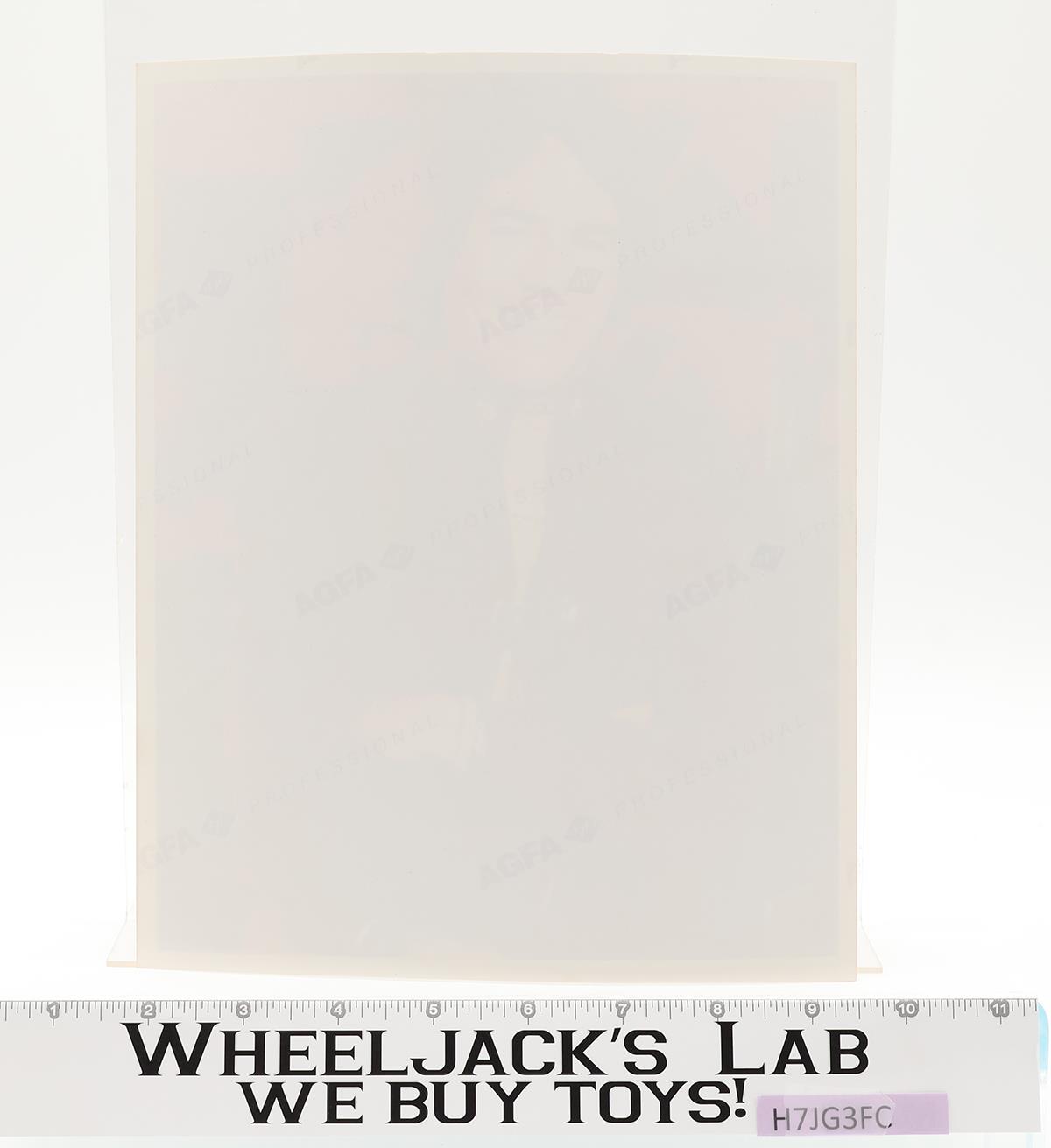 Captain Apollo Battlestar Galactica Richard Hatch AUTOGRAPHED 8x10 Photo