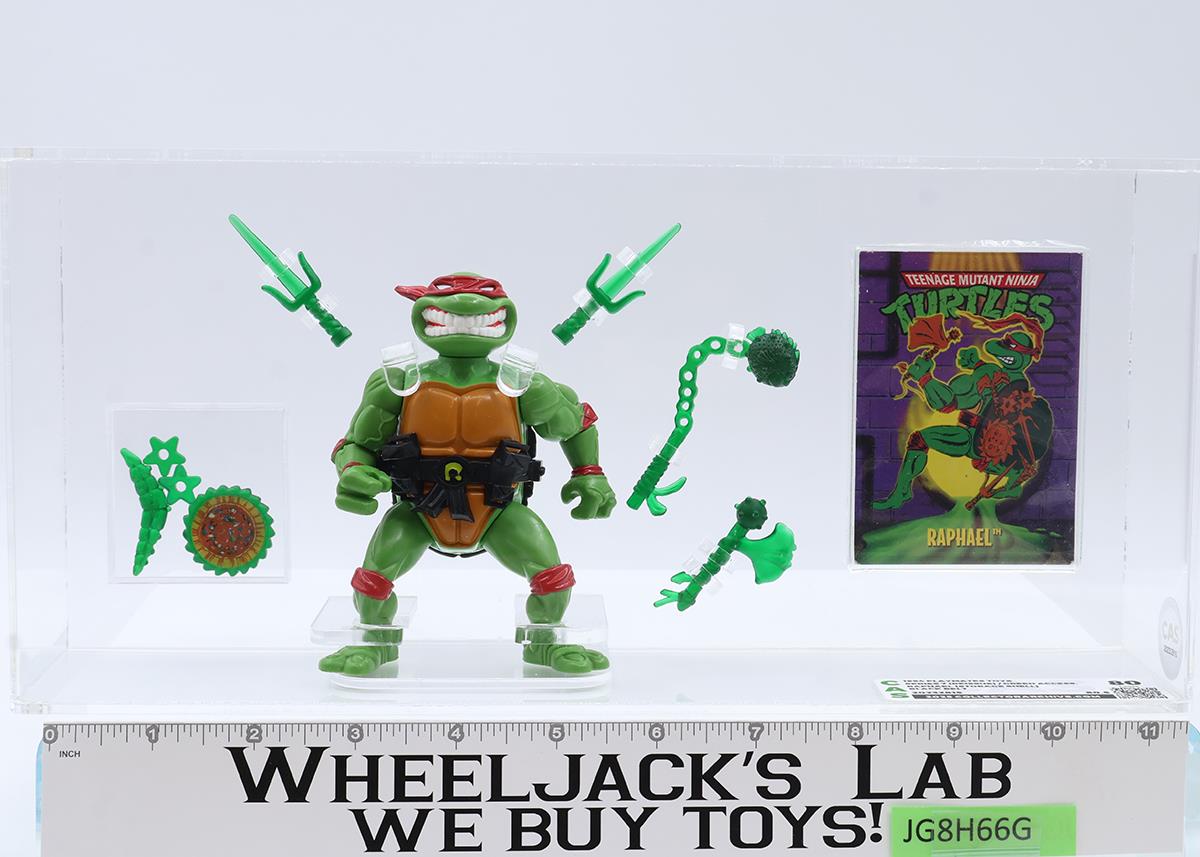 Storage Shell Raphael Black Belt Green Access. CAS GRADED 80 TMNT 1994 Playmates