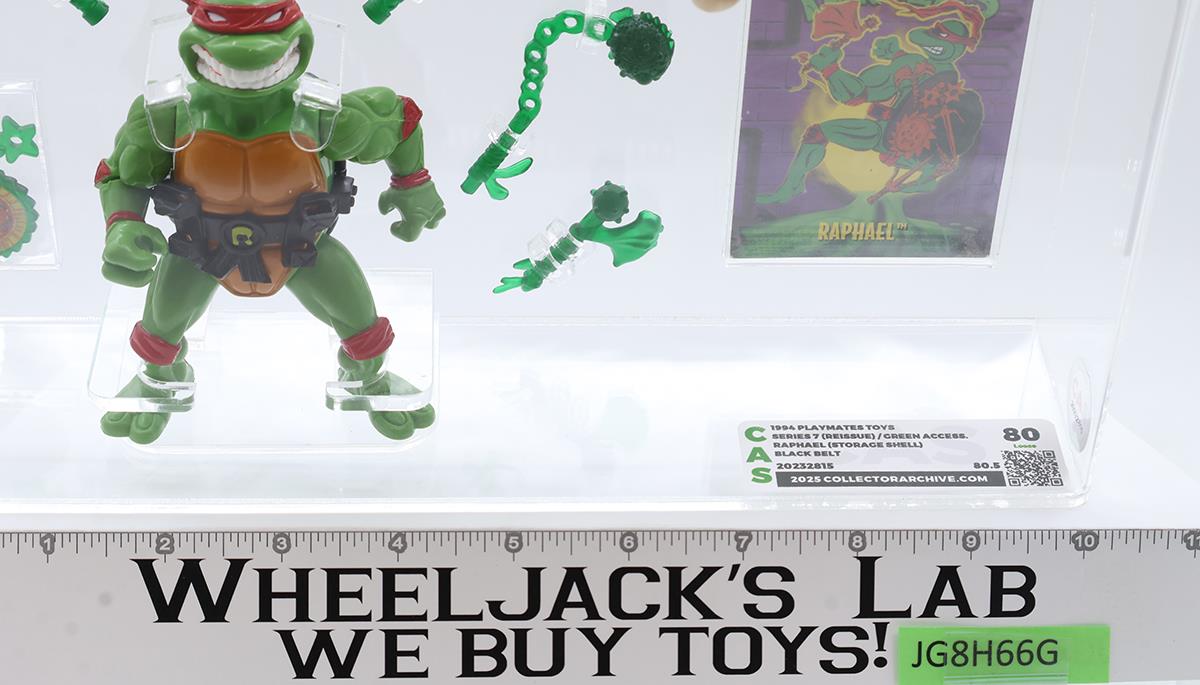 Storage Shell Raphael Black Belt Green Access. CAS GRADED 80 TMNT 1994 Playmates