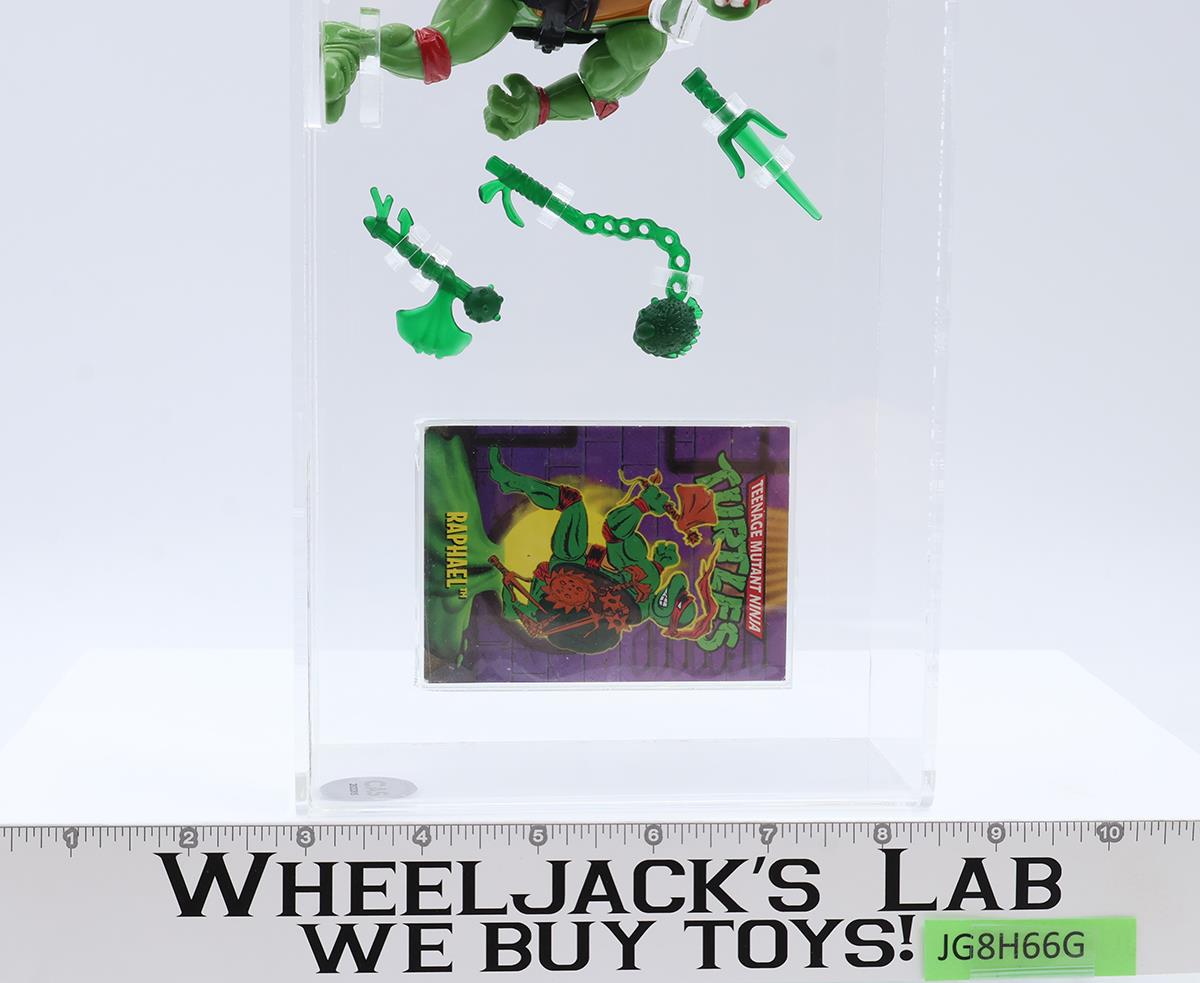 Storage Shell Raphael Black Belt Green Access. CAS GRADED 80 TMNT 1994 Playmates