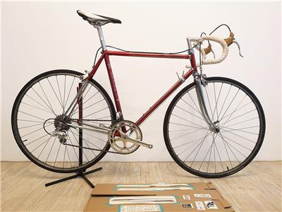 colnago steel road bike