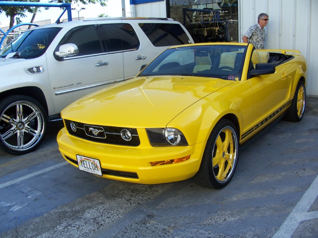 Ford screaming yellow touch up paint #10