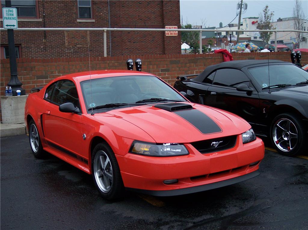 2004 Ford mustang paint colors #7