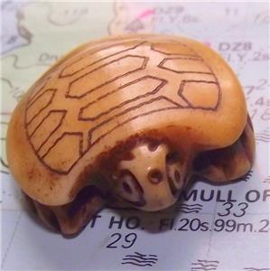 Japanese Carved Scrimshaw Netsuke Bovine Bone Turtle Tortoise Terrapin d