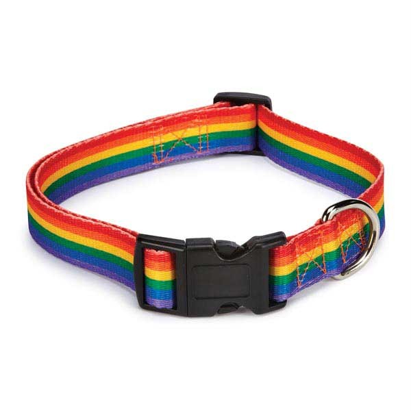 Pup PUPPY PRIDE Dog Collar Gay Pride Rainbow Pet Lead Leash Small ...