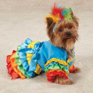 dog polly parrot bird halloween costume canine parrott clothes