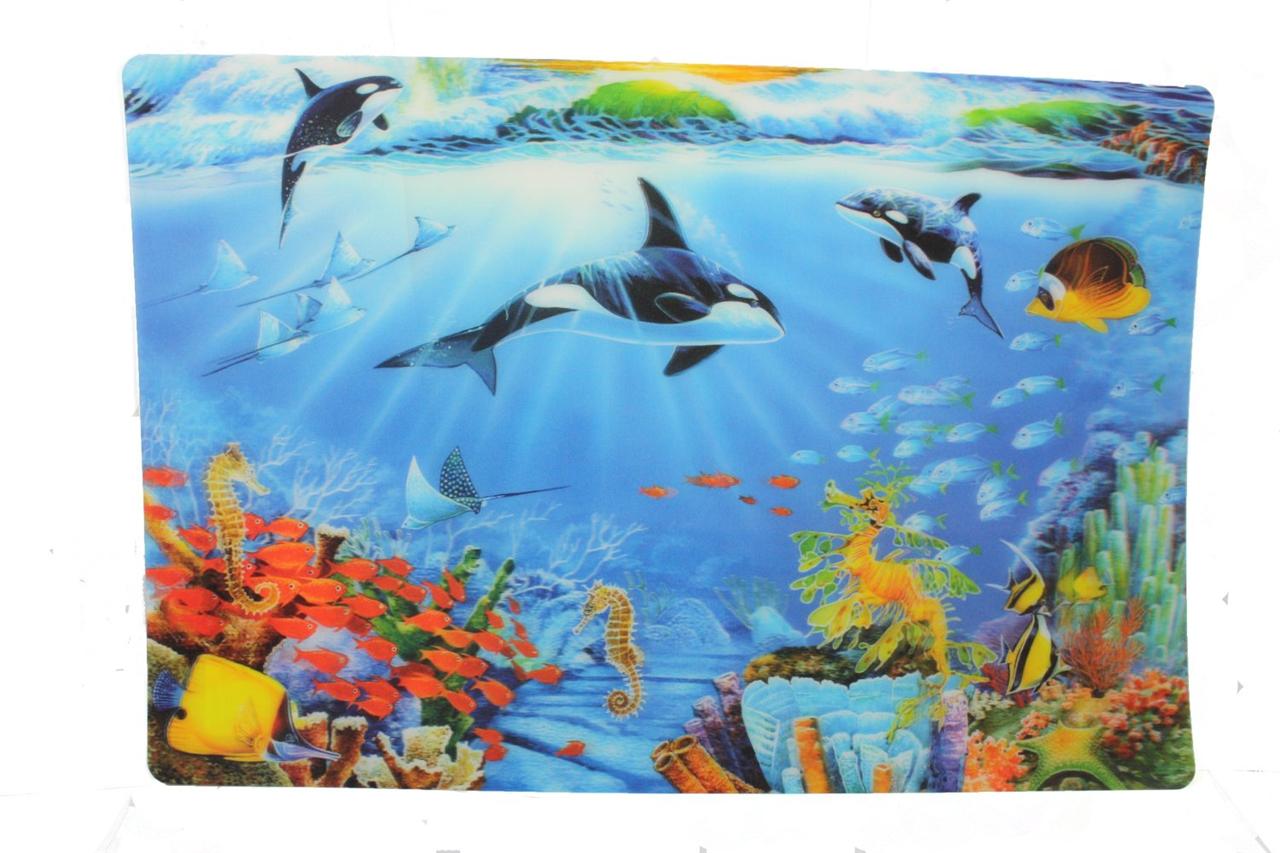 3 D Ocean Scenes 3D Pictures Turtle Shark Killer Whales Dolphins Sea ...