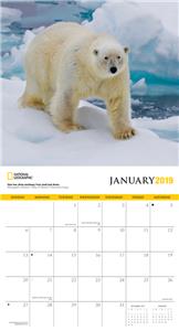 Polar Bears 2019 Calendar National Geographic Official Wall Free Uk Postage Ebay