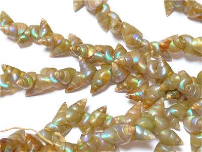 VINTAGE TASMANIAN ABORIGINAL MAIREENER SHELL NECKLACE LONG STRAND