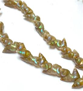 VINTAGE TASMANIAN ABORIGINAL MAIREENER SHELL NECKLACE LONG STRAND