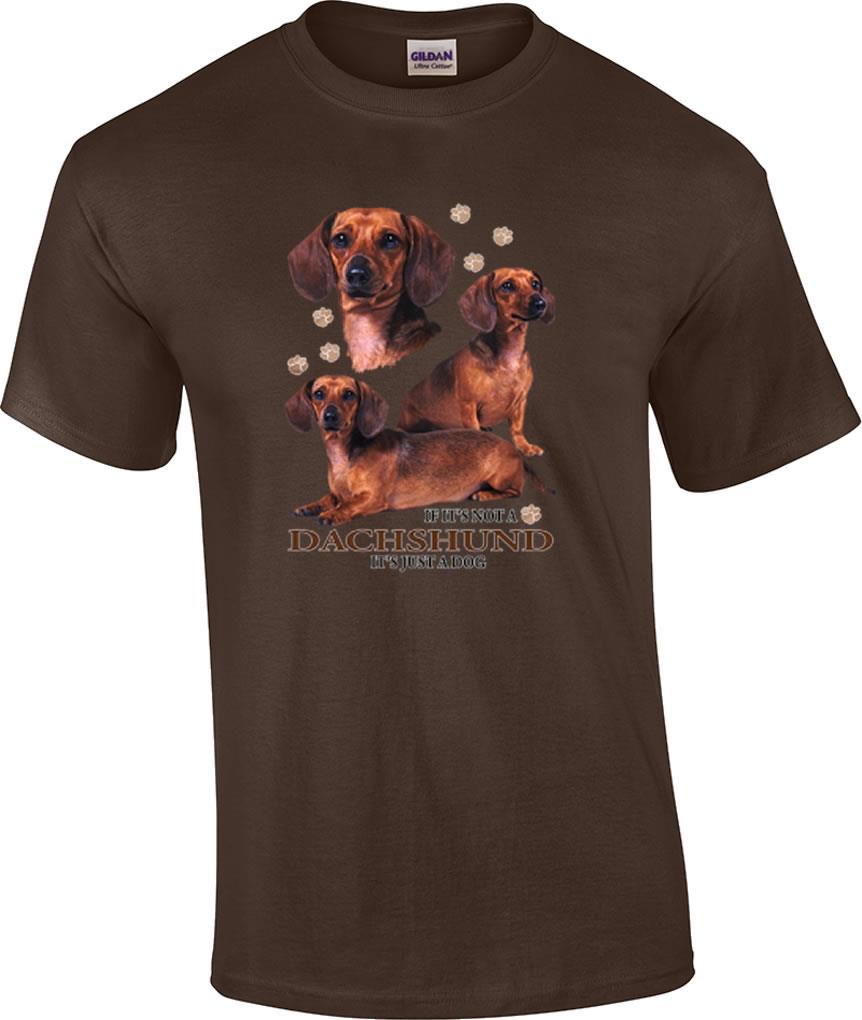 Dachshund Dog T-Shirt If It's Not a Dachshund It's Just a Dog T-shirt ...