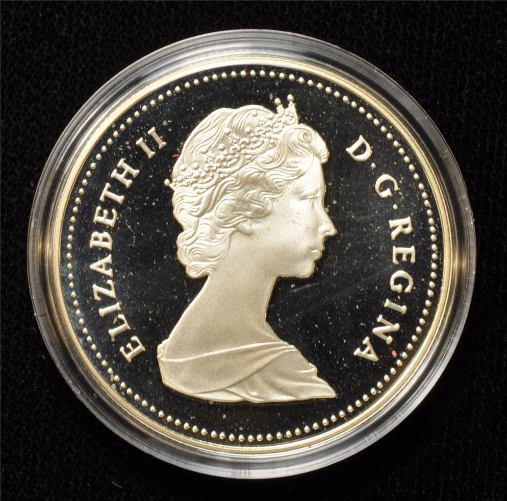 CANADA 1989 DOLLAR SILVER - MACKENZIE RIVER | eBay