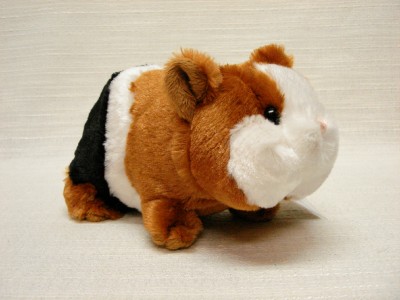 NWT WEBKINZ *GUINEA PIG* HM361 SEALED CODE! READY 2 SHIP HTF