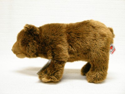 webkinz signature endangered brown bear