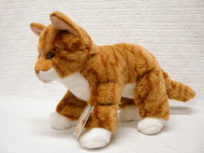 webkinz orange tabby cat
