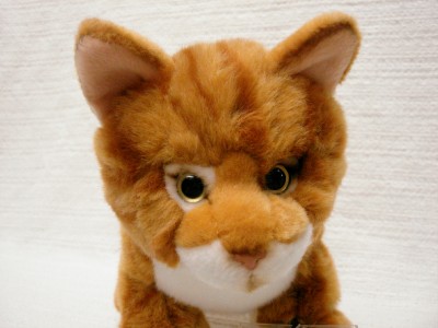 webkinz orange tabby cat
