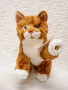 webkinz orange tabby cat