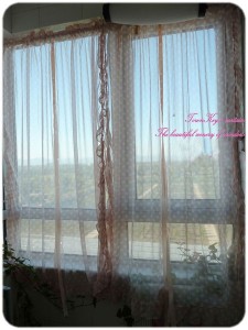 1 Piece Of Ruffle Edge Polka Dot Sheer Pull Up Curtain
