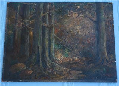 Antique Oil On Board Of An Interesting Dark Forest Landscape Scene