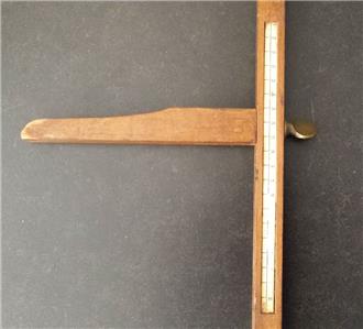 Antique Yardstick Measuring Rule Height At The Withers For