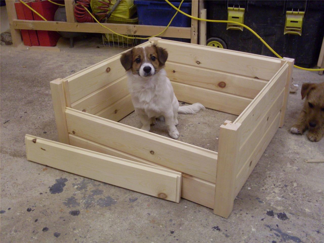 dog box bed