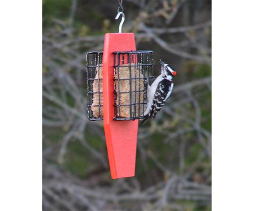 Dual Suet Feeder With Tail Prop For Woodpeckers To Balance With