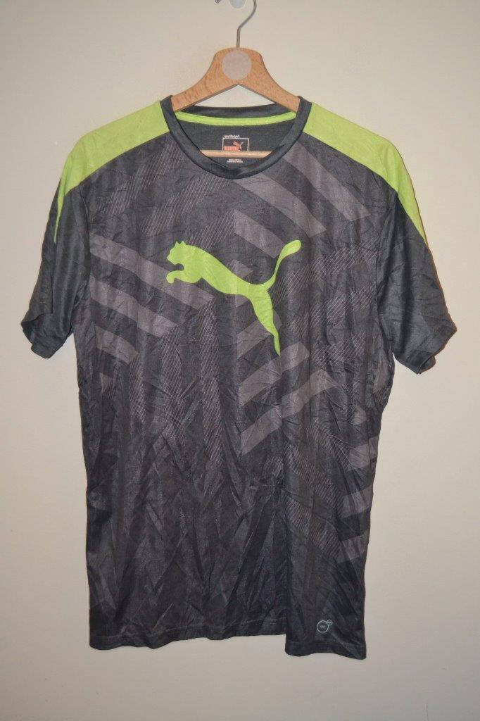 a puma at large exercise