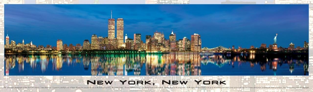 как выглядит Buffalo Games panoramic jigsaw puzzle; New York, New York; 750 pcs фото