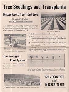 Musser Forests Inc Nursery Catalog 1948 Indiana Pennsylvania Click Images To Enlarge